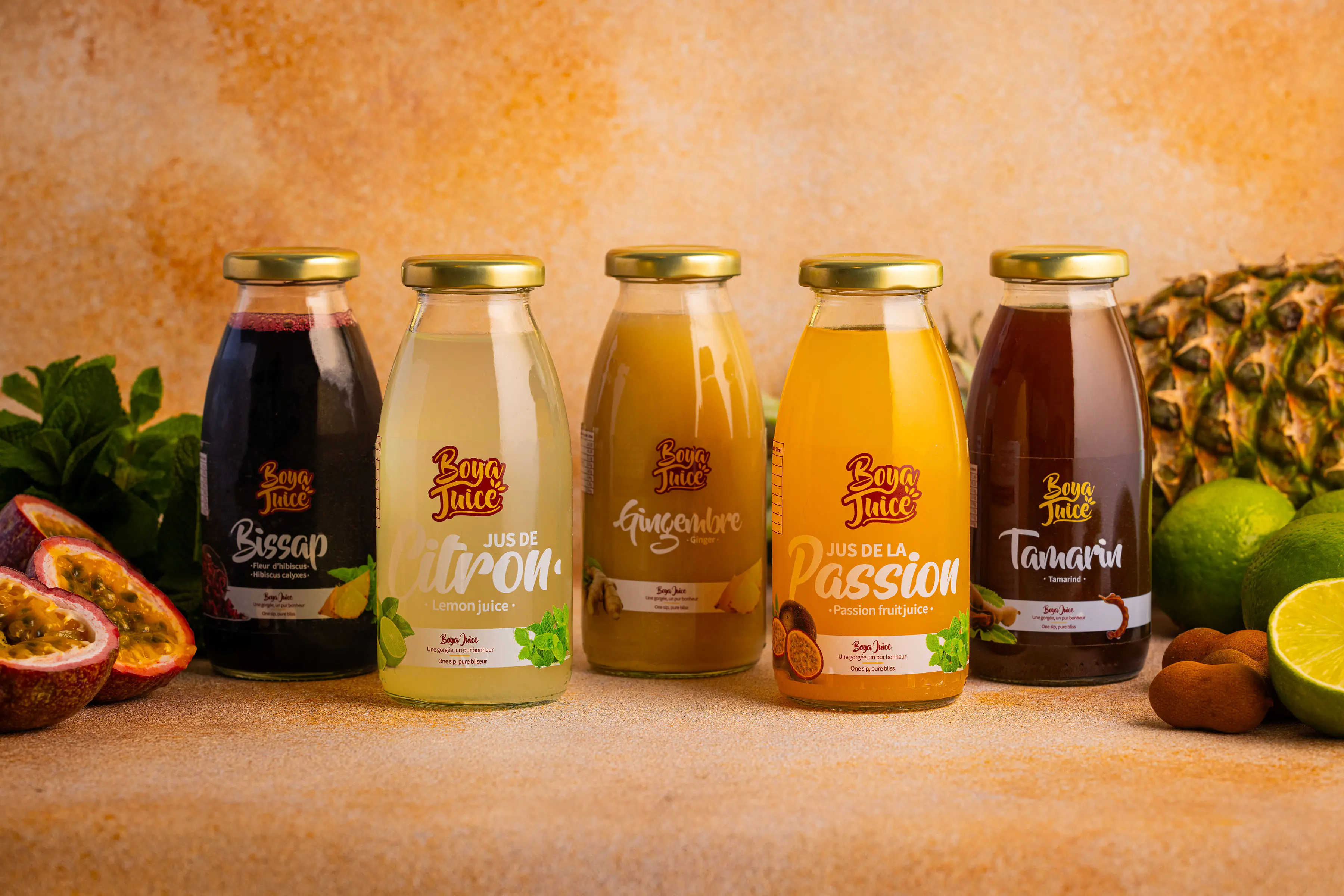 Pack ALINO (Pack Découverte)